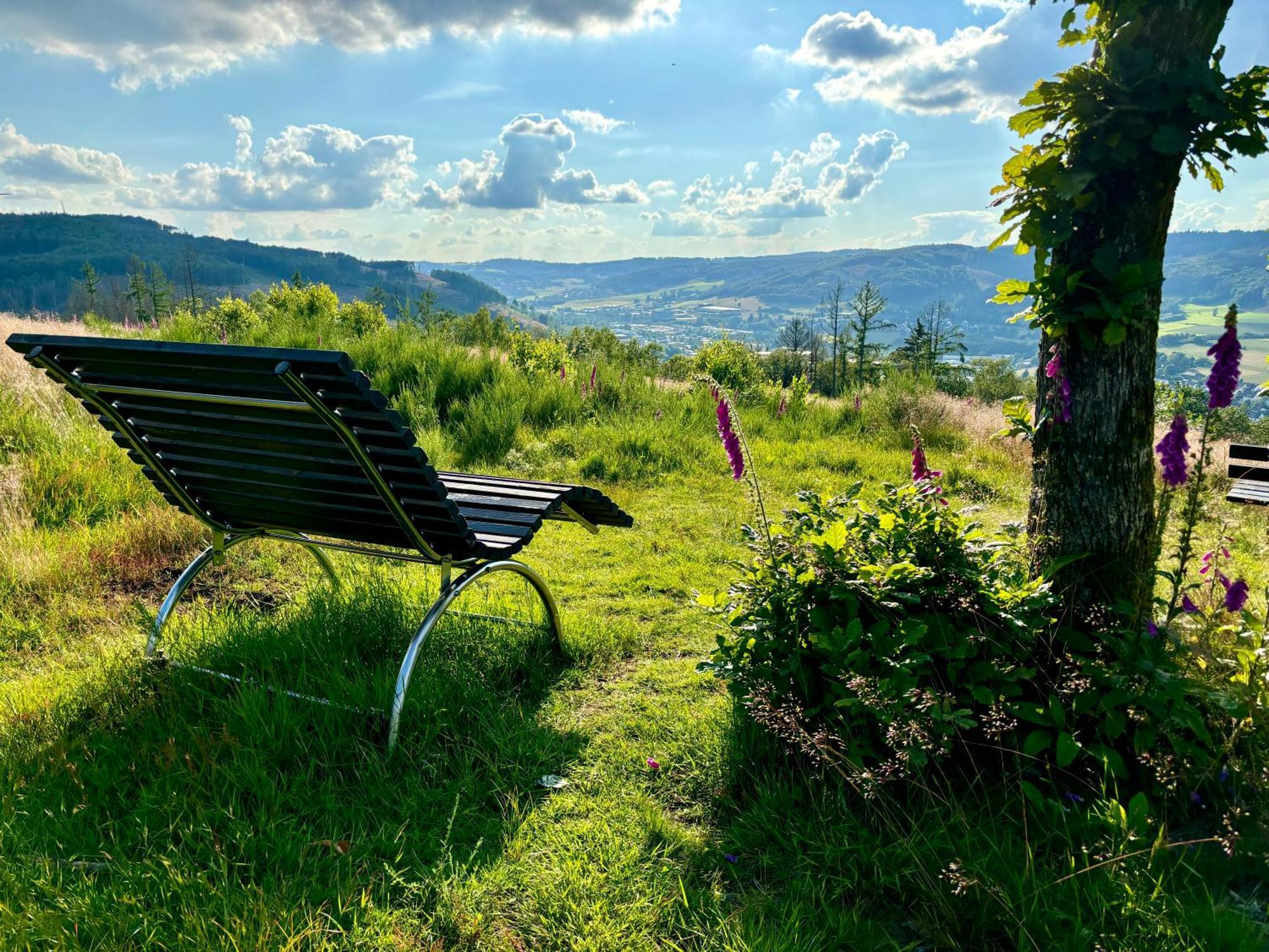 Traumwohnung Mit Sauna & Kamin, Direkt Am Wald Plettenberg Extérieur photo